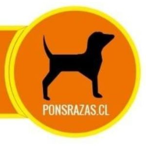Pons Razas Tienda de Mascotas